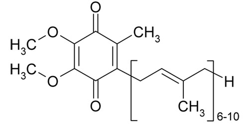 Q10-formula02